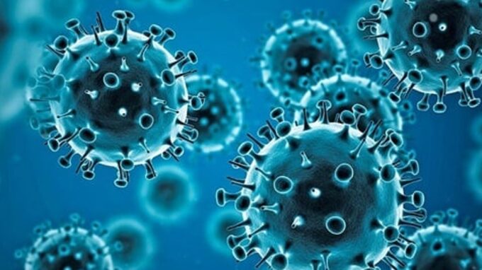 coronavirus-2.tmb-479v.jpg